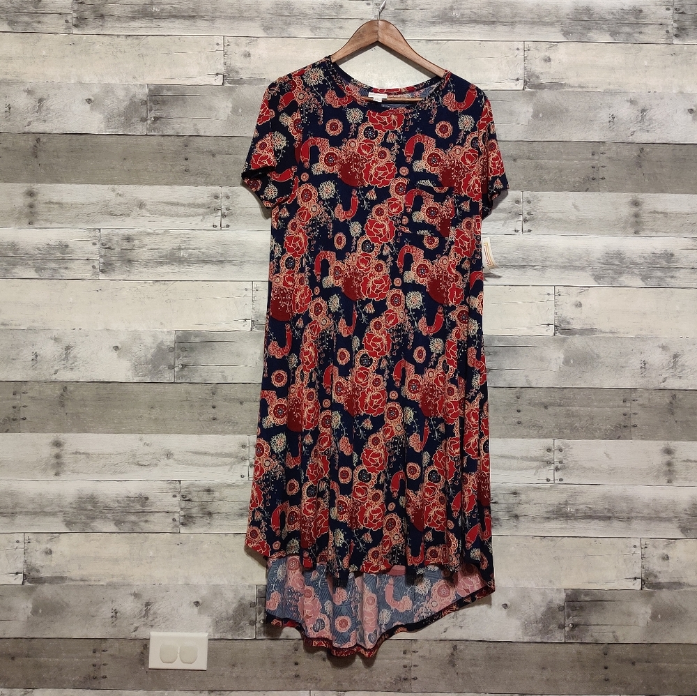 NWT Lularoe Carly M Retro Floral dress
